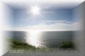 IMG_0340ft_1.jpg