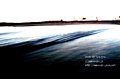 P8260018artimg_1t.jpg