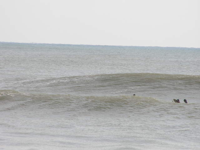 P2102318.JPG