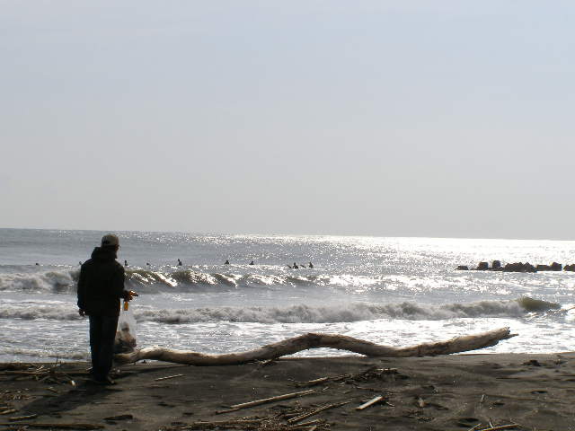 P2102328.JPG